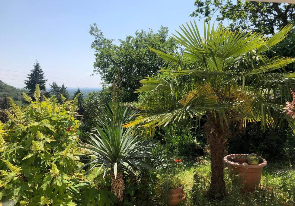 Апартаменты Le Jardin Suspendu Rillieux-la-Pape Экстерьер фото